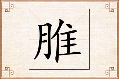 脽怎么写