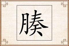 腠怎么写