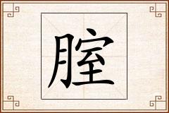 腟怎么写