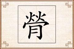 膋怎么写
