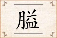 膉怎么写