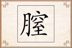 膣怎么写