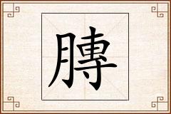 膞怎么写