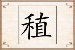 稙怎么写
