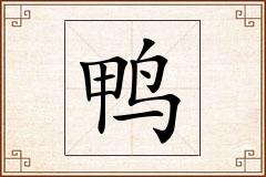 鸭怎么写