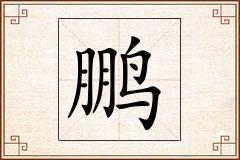 鹏怎么写