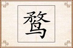 鹜怎么写