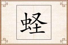 蛏怎么写