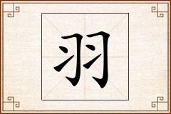 羽怎么写