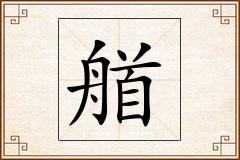 艏怎么写