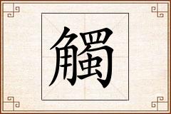 觸怎么写