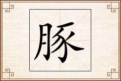 豚怎么写