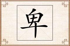 卑怎么写