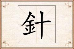 針怎么写