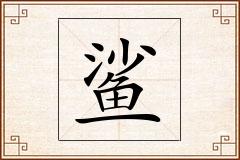 鲨怎么写