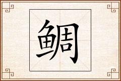 鲷怎么写
