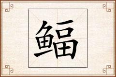 鲾怎么写
