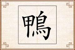 鴨怎么写