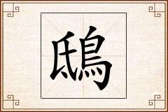 鴟怎么写