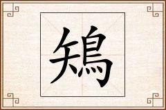 鴙怎么写