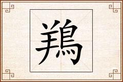 鴹怎么写
