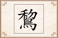 鵹怎么写