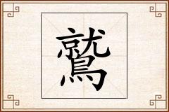 鷲怎么写