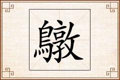 鷻怎么写