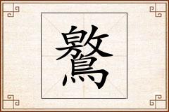 鸄怎么写