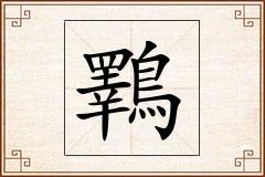 鸅怎么写