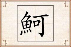 魺怎么写
