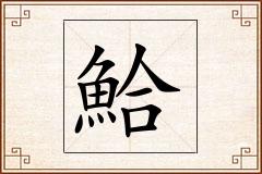 鮯怎么写