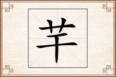 芉怎么写