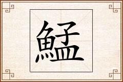 鯭怎么写