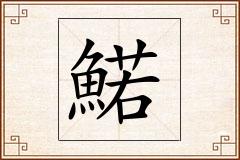 鰙怎么写