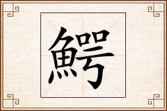 鰐怎么写