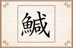 鰔怎么写