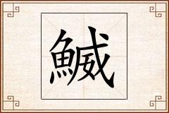 鰄怎么写