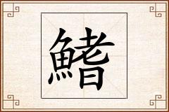 鰭怎么写