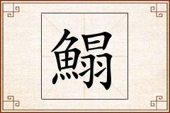 鰨怎么写