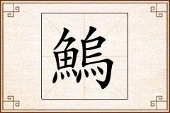 鰞怎么写