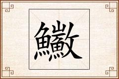 鰴怎么写