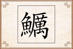 鱱怎么写