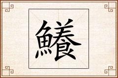 鱶怎么写