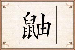 鼬怎么写