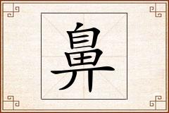 鼻怎么写