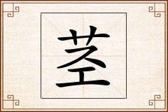 茎怎么写