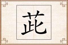 茈怎么写