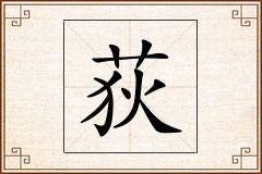 荻怎么写