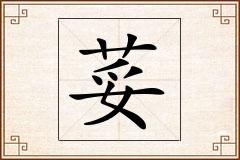 荽怎么写